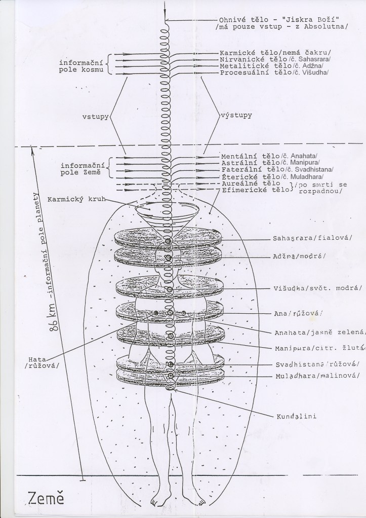 Energetická stavba človeka
